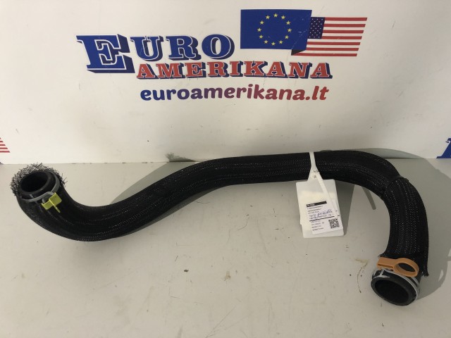 Radiator Lower Hose